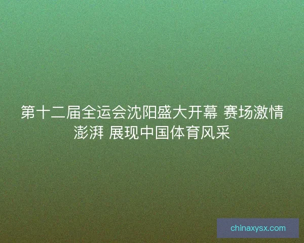 第十二届全运会沈阳盛大开幕 赛场激情澎湃 展现中国体育风采