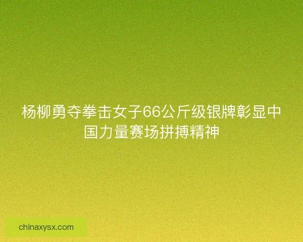 杨柳勇夺拳击女子66公斤级银牌彰显中国力量赛场拼搏精神 杨柳勇夺拳击女子66公斤级银牌彰显中国力量赛场拼搏精神